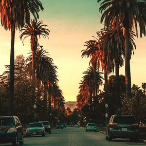 Welcome to Freedom Closet!